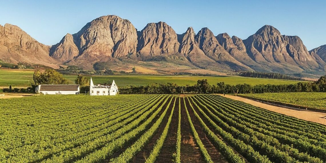 Exploring the Paarl Wine Route: A Blend of Tradition and Innovation