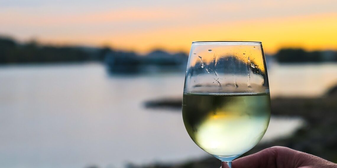 Exploring the Unique West Coast Wine Route: A Tasting Adventure