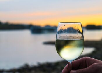 Exploring the Unique West Coast Wine Route: A Tasting Adventure