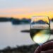 Exploring the Unique West Coast Wine Route: A Tasting Adventure